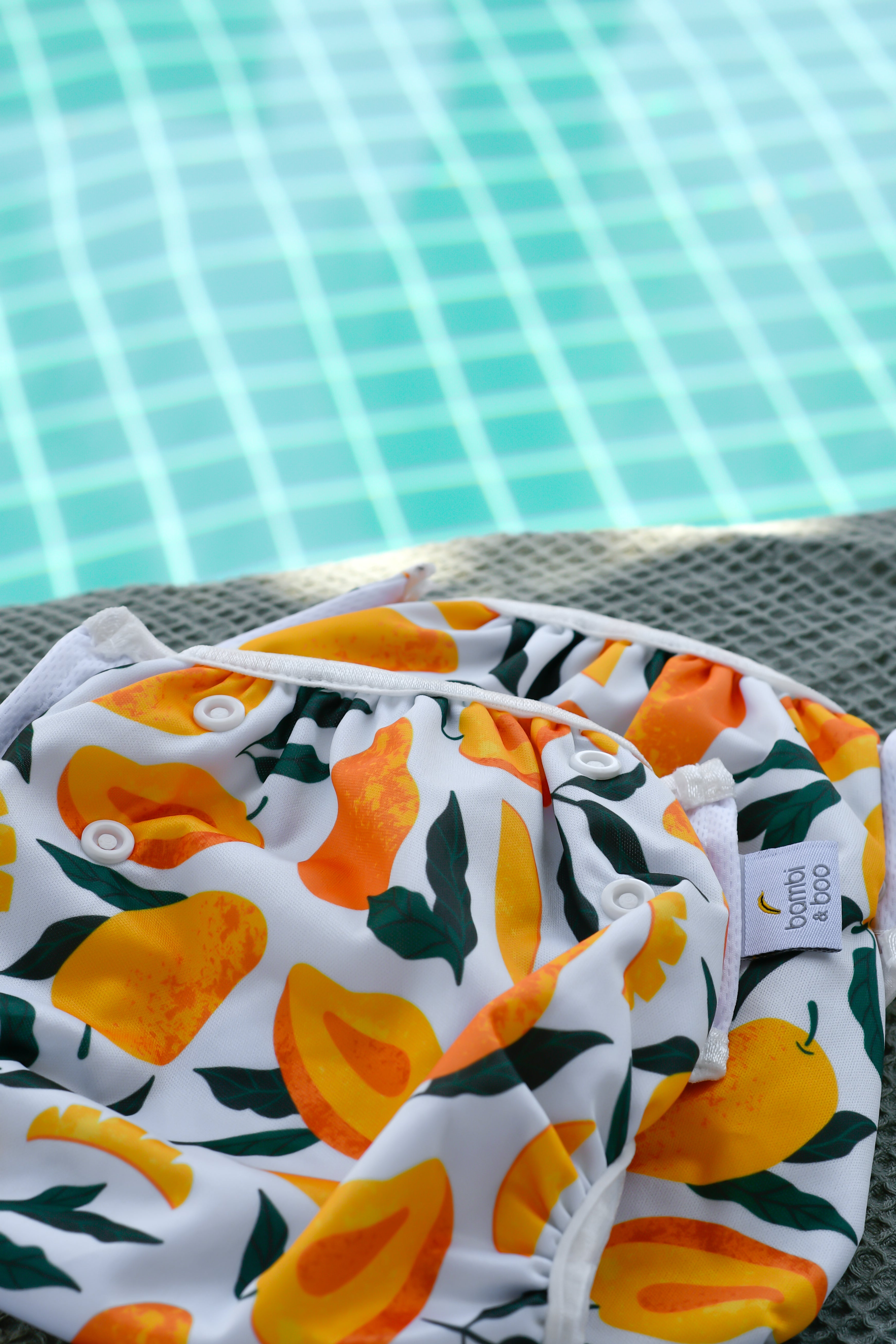 Apricot_1.jpg__PID:530b7e2a-776a-4848-950b-a92e2871d69a